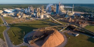 Setor florestal baiano cresce com foco na sustentabilidade