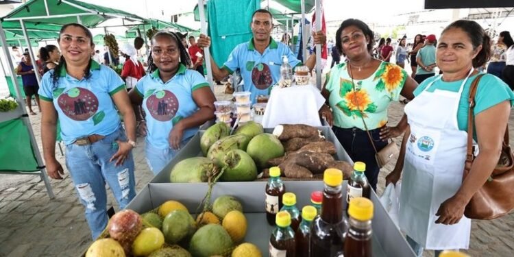 Novo centro de comercialização da agricultura familiar é inaugurado em Rafael Jambeiro
