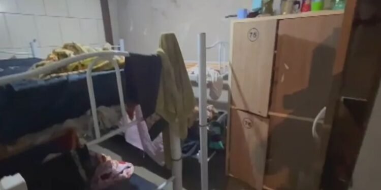 Vinícolas pagarão R$ 7 milhões em indenização para trabalhadores resgatados