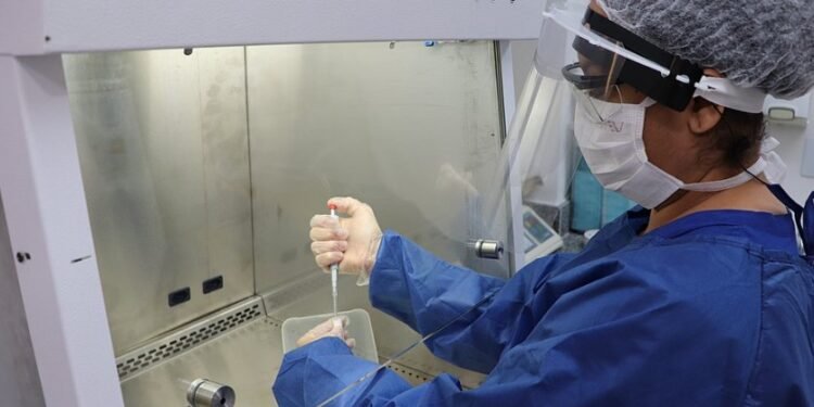 Surto: casos de dengue aumentam 773% em Salvador e 55% na BA