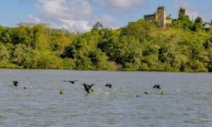 Alunos da rede pública de Simões Filho terão oficinas gratuitas de fotografia