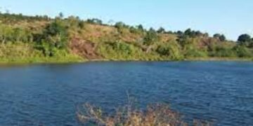 Embasa é obrigada a retirar plantas que podem assorear margem da Barragem do Rio da Dona