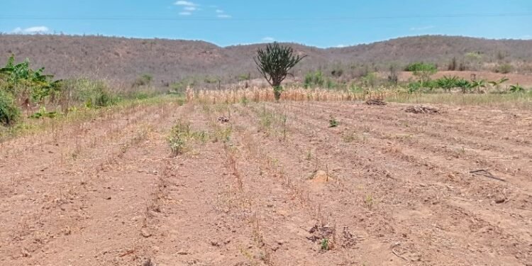 Vitória da Conquista decreta situação de emergência devido a seca
