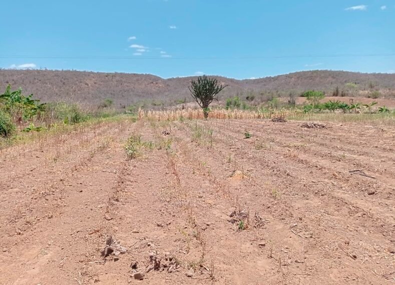 Vitória da Conquista decreta situação de emergência devido a seca