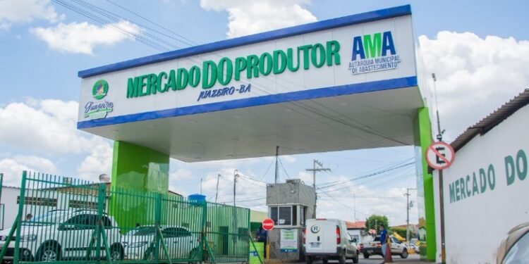 Confira a cotação dos hortifrutigranjeiros comercializados no Mercado do Produtor de Juazeiro nesta quarta-feira