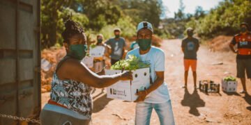 Famílias atingidas pela chuva na Bahia receberão cestas de alimentos orgânicos