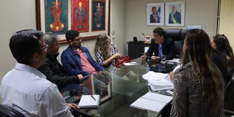 SDE e Neoenergia Coelba tratam sobre infraestrutura de energia no estado