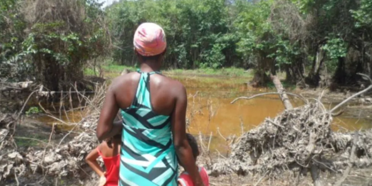 Territórios quilombolas na Bahia têm portarias de reconhecimento publicadas no Diário da União
