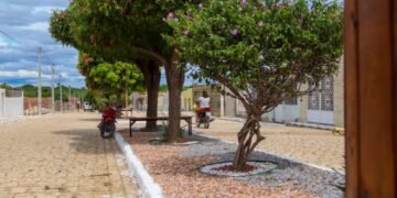 Prefeitura de Juazeiro leva serviços de paisagismos e outras melhorias para Carnaíba do Sertão