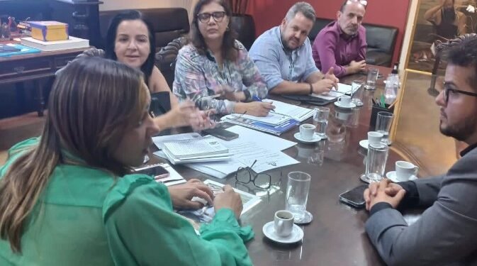 Melhorias para a saúde no Sul da Bahia é pauta de reunião de integrantes do gabinete de Raimundinho da JR com a secretária Roberta Santana