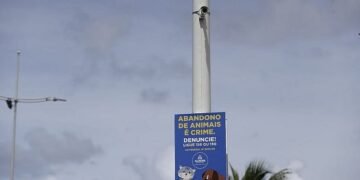 Salvador instala sala de videomonitoramento para coibir abandono de animais
