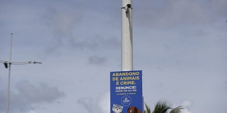 Salvador instala sala de videomonitoramento para coibir abandono de animais