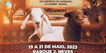 VII Feira do Bode de Juremal começa hoje