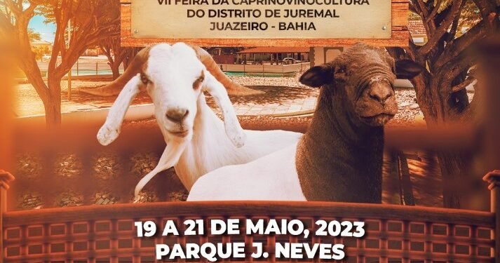 VII Feira do Bode de Juremal começa hoje