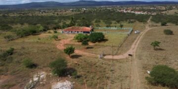 ONG da Bahia lança Projeto Quintal CO2 Free com capacitação de coletores e produção de 24 mil mudas de árvores.