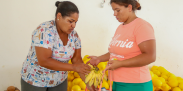 Gestão Suzana Ramos garante acesso de mais de 1.600 famílias aos alimentos