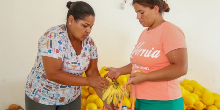Gestão Suzana Ramos garante acesso de mais de 1.600 famílias aos alimentos