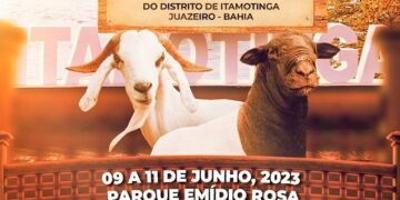 10ª Feira do Bode de Itamotinga começa hoje no Povoado de Cacimba do Silva