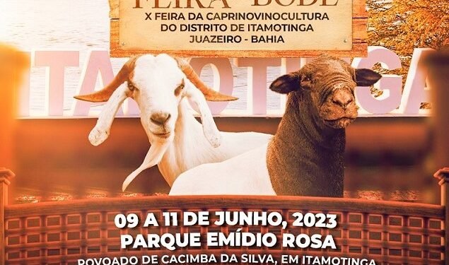 10ª Feira do Bode de Itamotinga começa hoje no Povoado de Cacimba do Silva