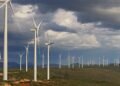Dia Mundial do Vento: 73% da energia elétrica gerada na Bahia é por fonte eólica