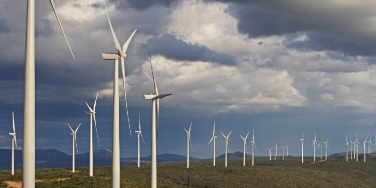 Dia Mundial do Vento: 73% da energia elétrica gerada na Bahia é por fonte eólica