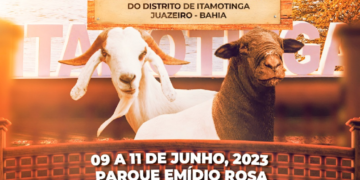 Prefeitura de Juazeiro realiza Feira do Bode em Itamotinga neste final de semana