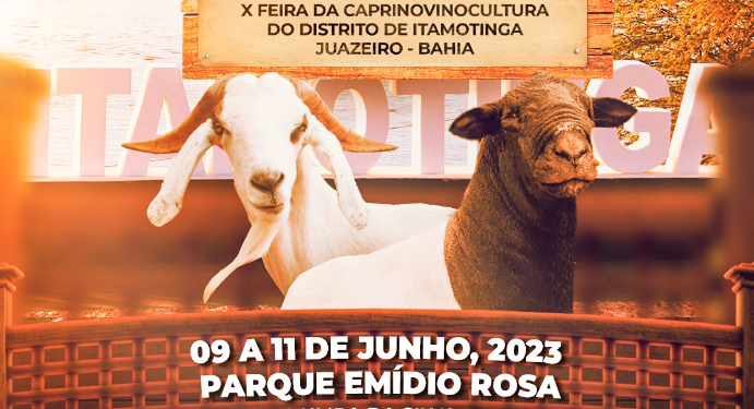 Prefeitura de Juazeiro realiza Feira do Bode em Itamotinga neste final de semana