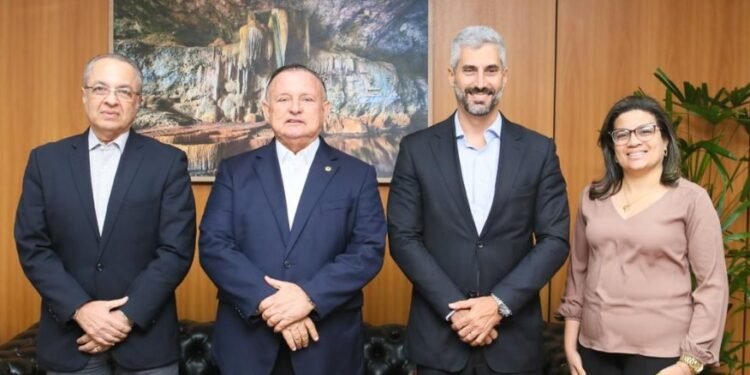 Presidente Adolfo Menezes recebe presidente da Neonergia Coelba