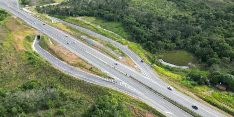 População vai escolher de forma online a arte que será reproduzida em túnel de Camaçari (BA)