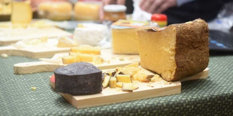 36 queijos baianos são medalhistas no VI Prêmio Queijo Brasil