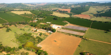 Divulgação Foto: Grupo Fazenda Bela Vista