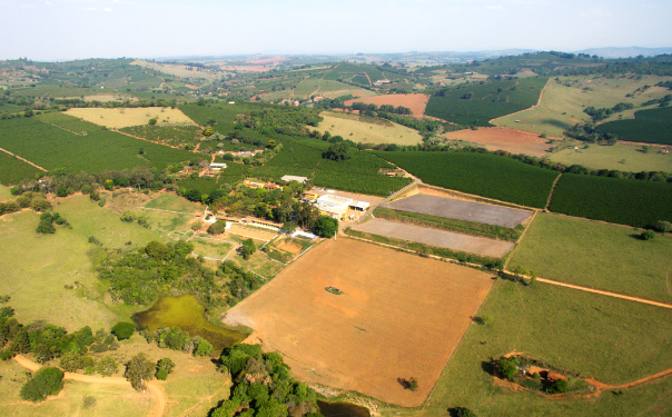 Divulgação Foto: Grupo Fazenda Bela Vista