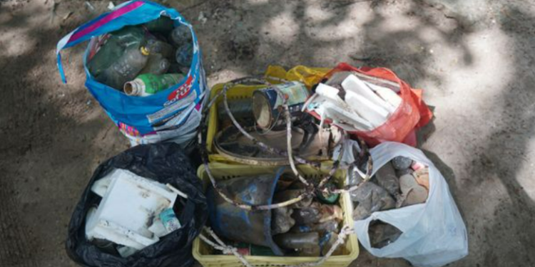 Ação em Mar Grande retira mais de 200 kg de lixo do fundo do mar