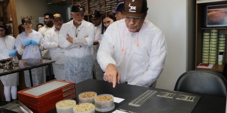 Fotos Mário Marques (1).jpeg