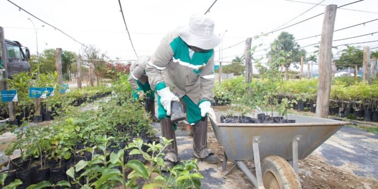 Crédito Foto: Divulgação