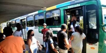 Linhas de ônibus passam por alterações. Crédito: Jefferson Peixoto/Secom