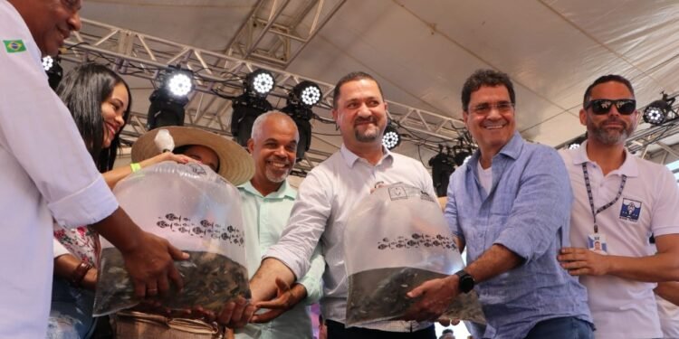 Fotos_Mário Marques_Ascom SDE