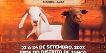 Prefeitura de Juazeiro realiza a V feira do Bode de Junco neste fim de semana