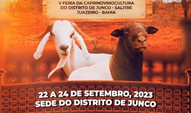 Prefeitura de Juazeiro realiza a V feira do Bode de Junco neste fim de semana