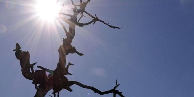 Temperaturas altas foram registradas. Crédito: Arquivo/Agência Brasil