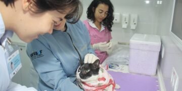 Fotos: Edinazio Dias