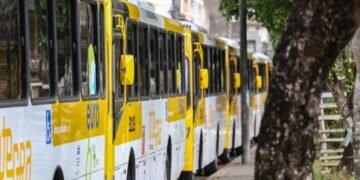 O número de viagens feitas por dia sairá de 731 para 991 - Foto: Bruno Concha | Secom