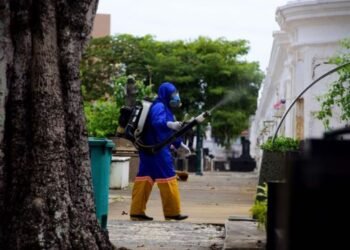 Ação contra mosquito da dengue em cemitérios. Crédito: Jefferson Peixoto/Secom