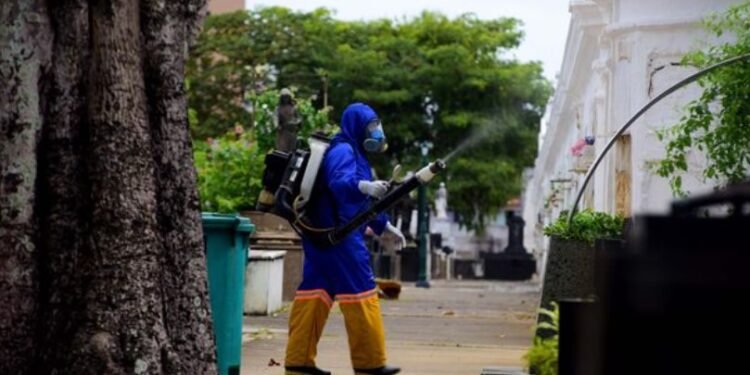Ação contra mosquito da dengue em cemitérios. Crédito: Jefferson Peixoto/Secom