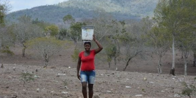 Prefeitura de Feira de Santana Declara Situação de Emergência devido à Estiagem. Crédito: Reprodução/Prefeitura de Feira de Santana