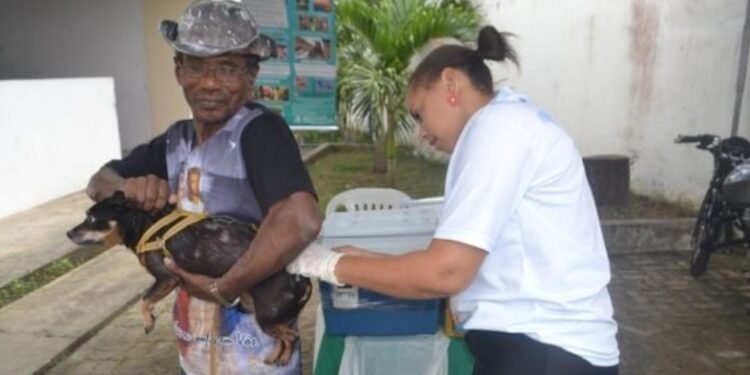 Vacina antirrábica é aplicada em Feira de Santana. Crédito: Divulgação