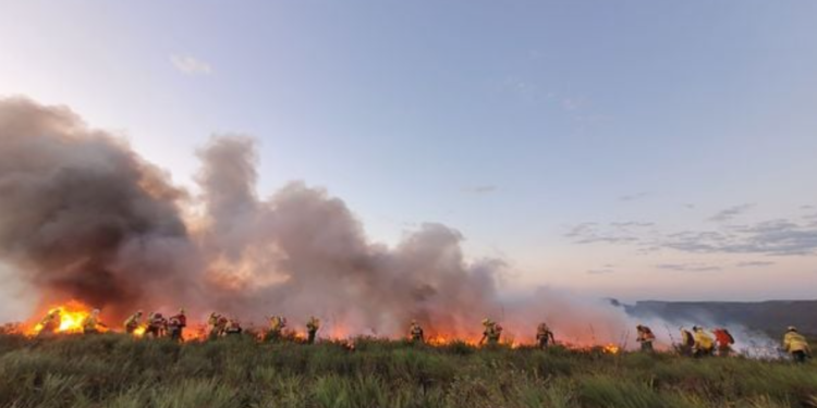 Incêndio na Serra do Candombá, na Chapada Diamantina. Crédito: Divulgação/ICMBio