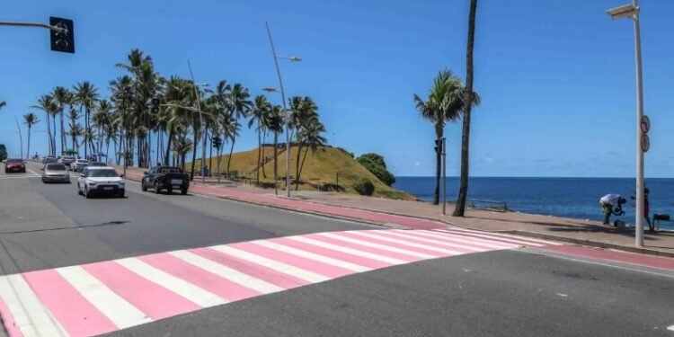 Segundo o Instituto Nacional do Câncer (Inca), o câncer de mama é o tipo que mais acomete mulheres em todo o mundo - Foto: Bruno Concha - Secom/Salvador