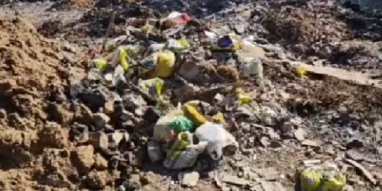 Comunidade quilombola, conhecida como São Brás, tem sofrido com as consequências das condições do local - Foto: Cidadão Repórter | Via WhatsApp