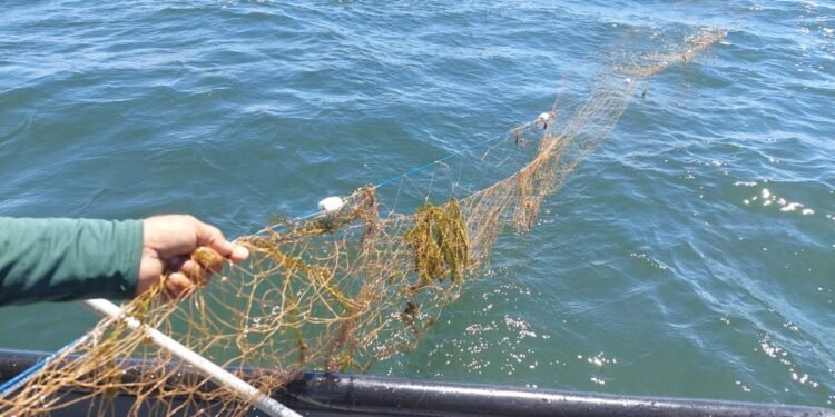 FPI apreende redes irregulares para pesca